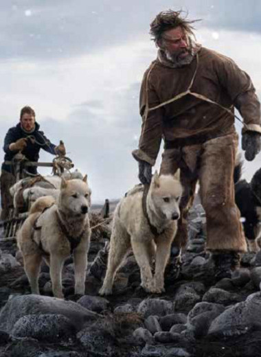 Найти и не сдаваться