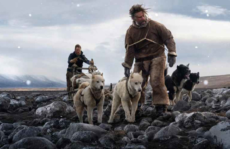 Найти и не сдаваться