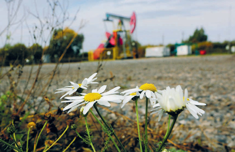 Нефтесервис хочет заказов