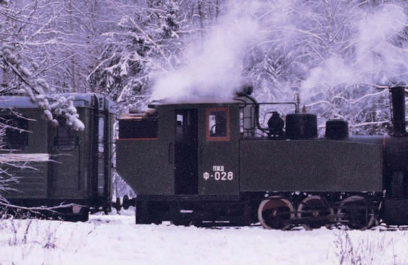 Электронные паровозы