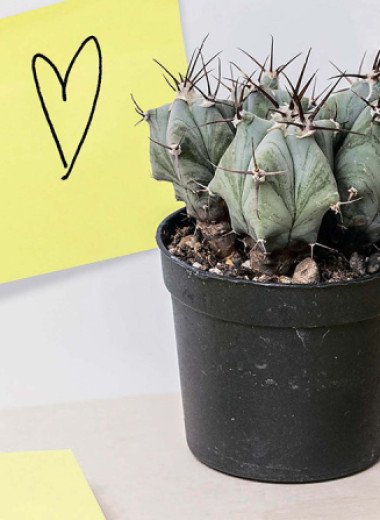 Готовить и рыхлить цветы: чего хотят женщины?