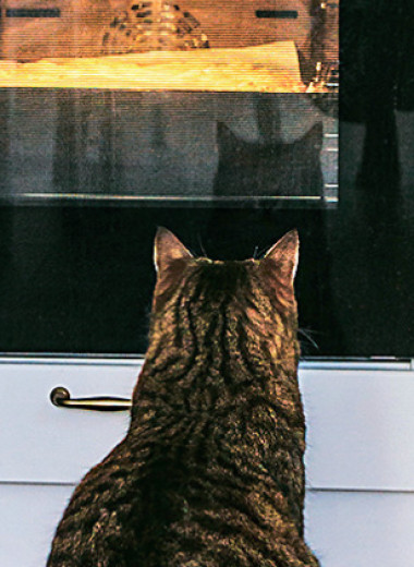 2000 — 2025: Как за 25 лет изменился наш быт и что на это повлияло?