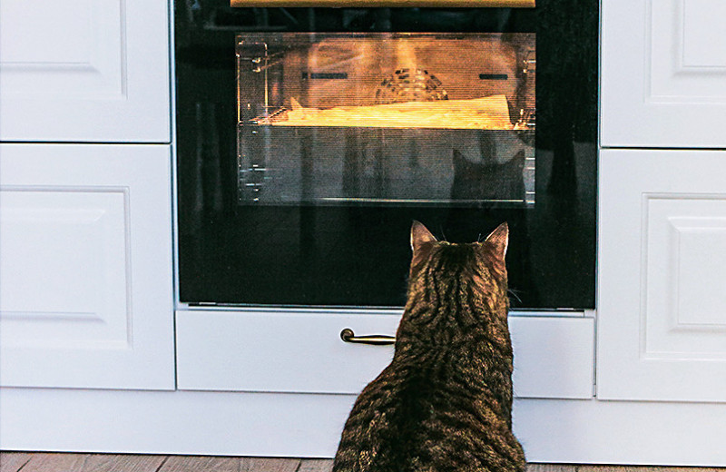 2000 — 2025: Как за 25 лет изменился наш быт и что на это повлияло?