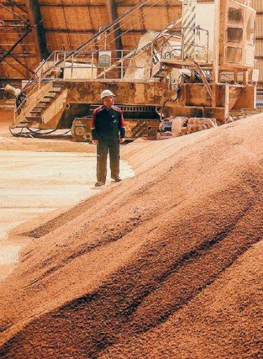 Удобрение котировок