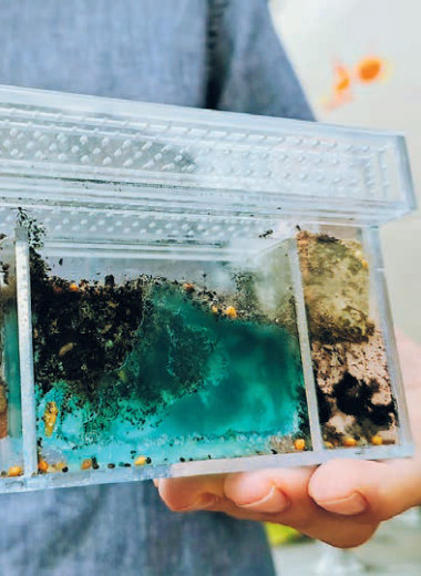 Бактерии идут в гору