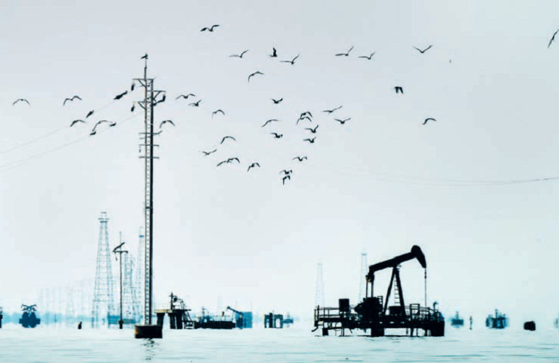 Нефти много не бывает