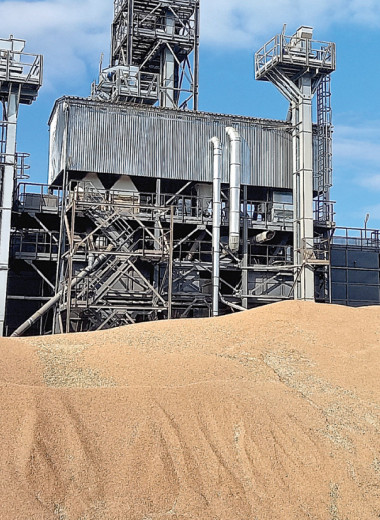 Зерно останется малодоходным