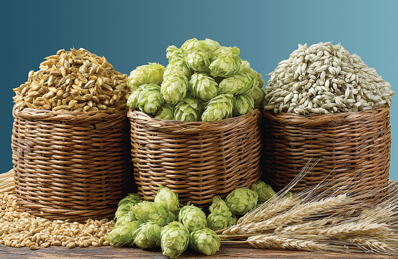 Три кита пивной отрасли