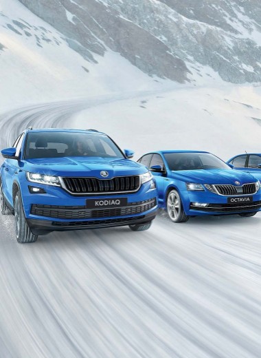 Skoda Hockey Edition