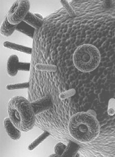 Вирусы: наши враги и наши врачи