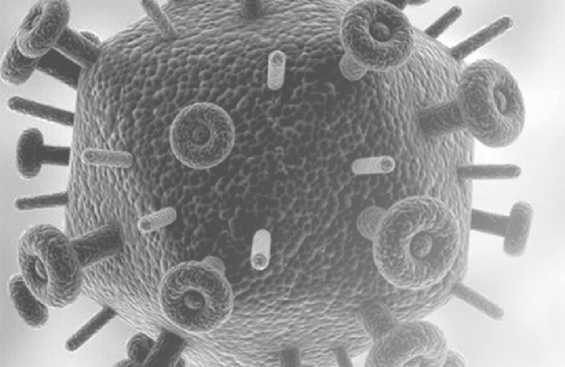 Вирусы: наши враги и наши врачи