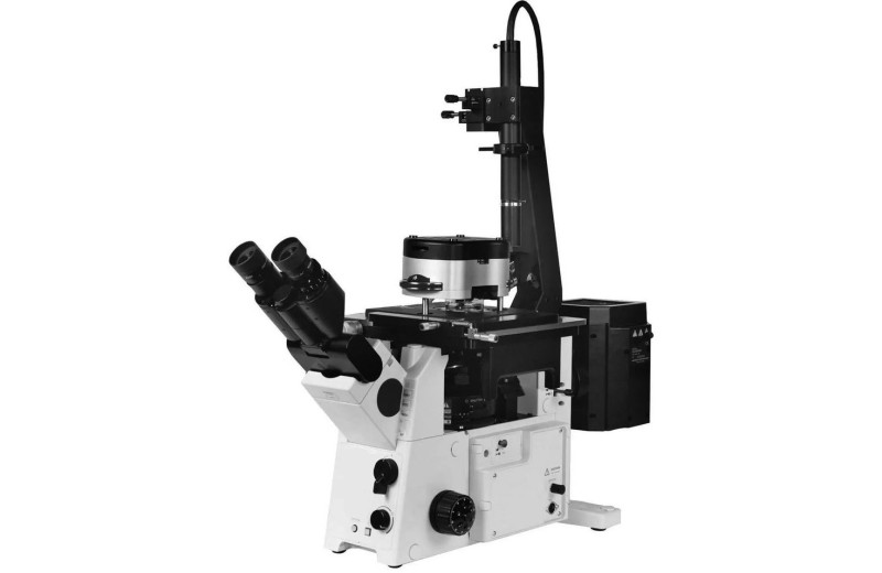 Новости науки