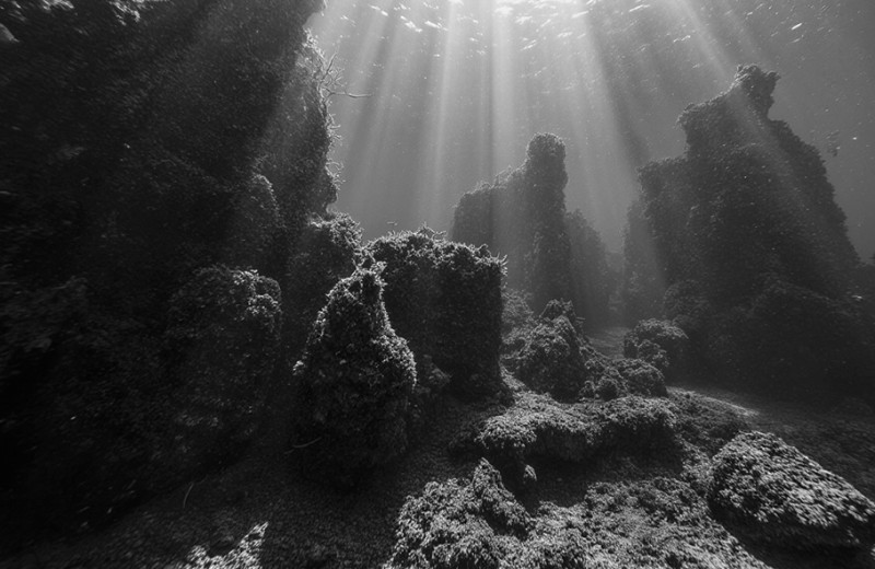 Лавка древностей