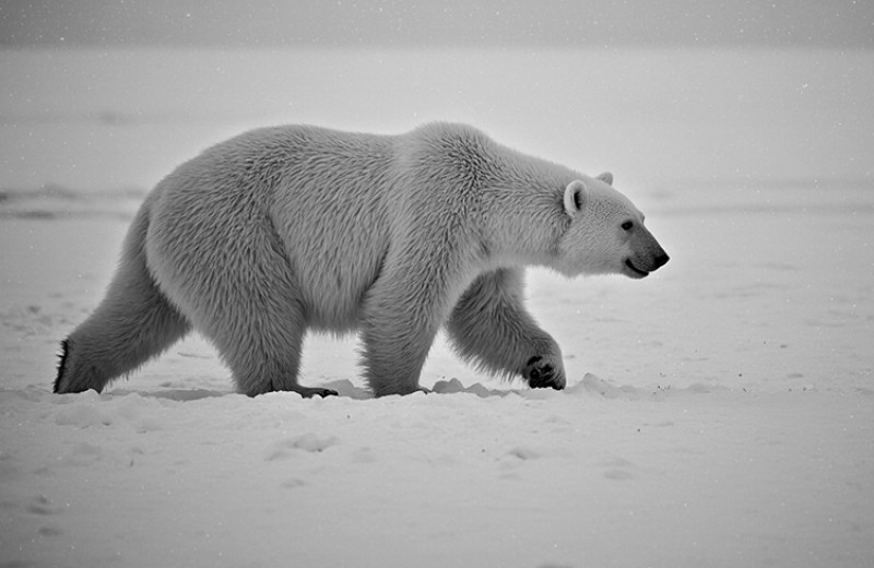 Как мало мы о них знаем