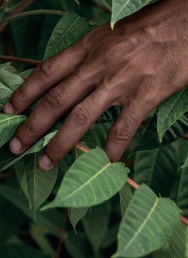 «Свободная страна» в колониальной Африке