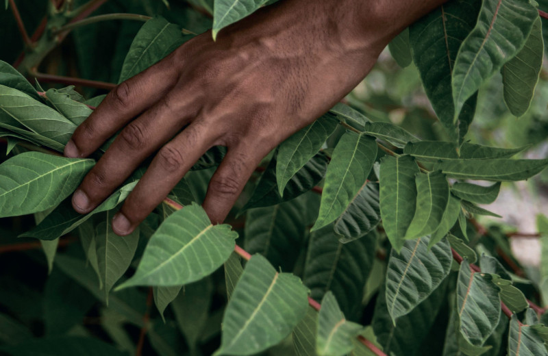 «Свободная страна» в колониальной Африке