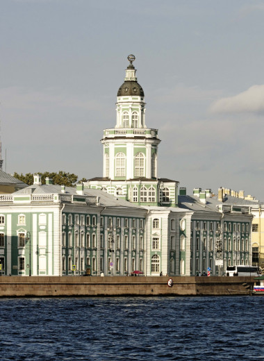 Кабинет редкостей