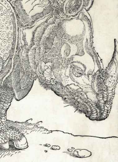 Собери чудовище