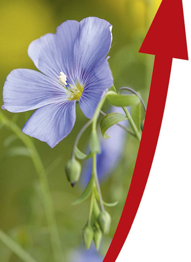 Три рекорда из четырех возможных