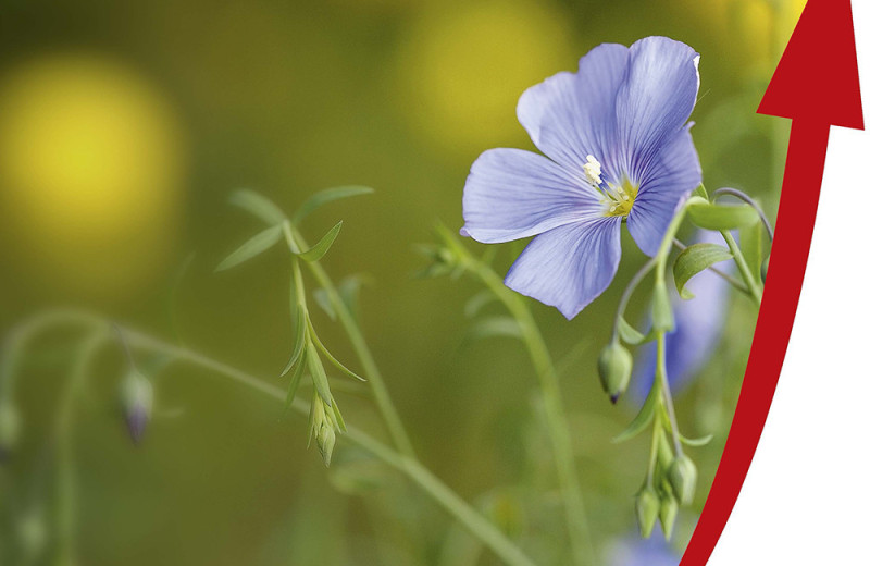 Три рекорда из четырех возможных