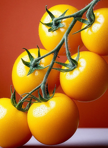 Тепличные предприятия ставят на эффективность