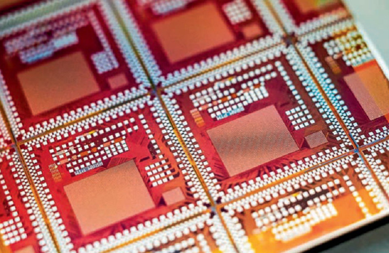 Заплатка для мозга