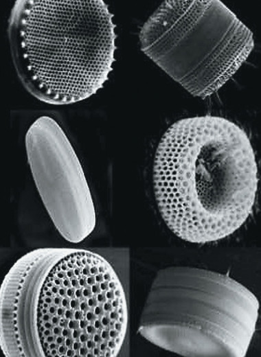 Кремний с нанопорами — материал с неисчерпаемыми возможностями