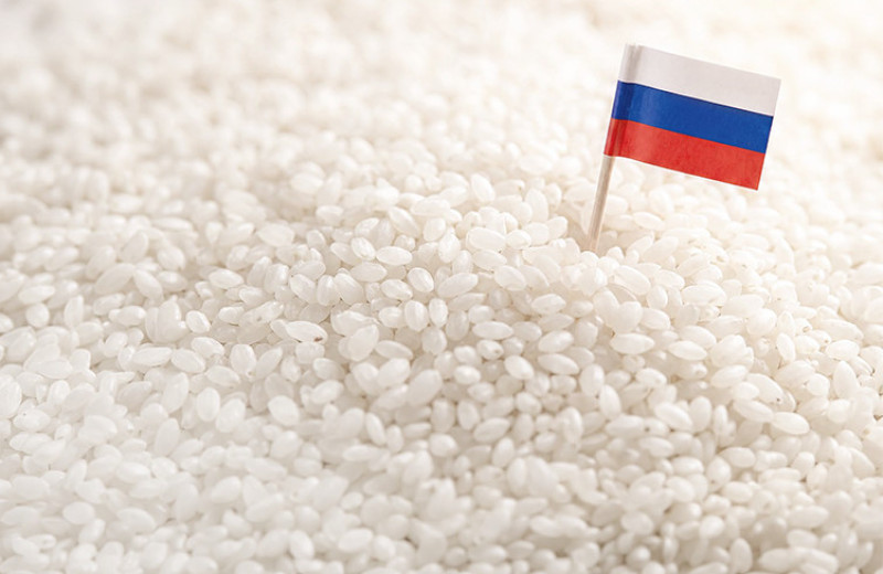 Что вернет российский рис на внешние рынки
