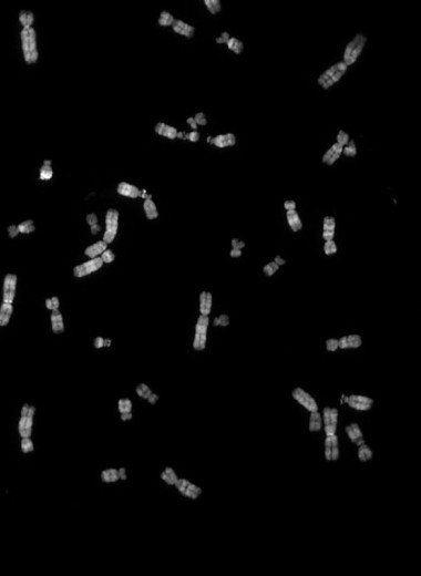 Тесты с высокой обоснованностью