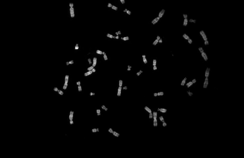 Тесты с высокой обоснованностью