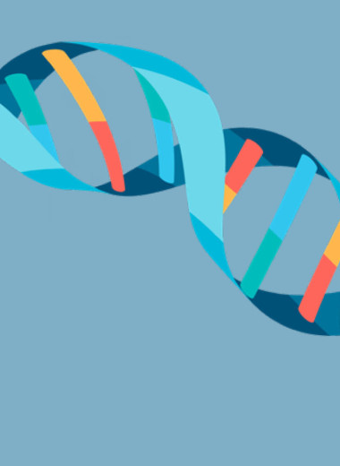 Из чего же сделаны наши мальчишки и девчонки