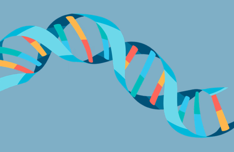 Из чего же сделаны наши мальчишки и девчонки