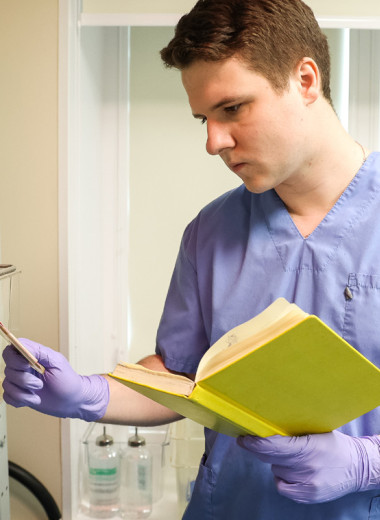 Спокойствие и не только спокойствие