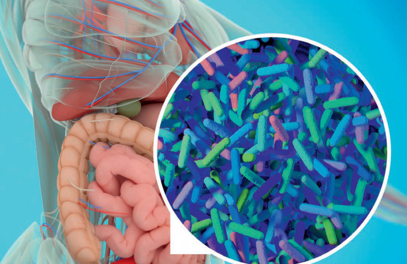 Макровопрос о микробиоме