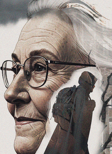 Похитители новоселья