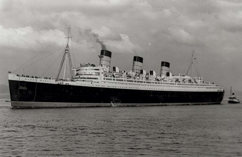 Фокус на яхтах