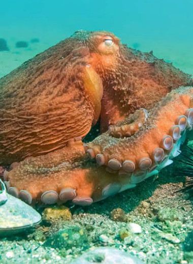 Заповедный фонд