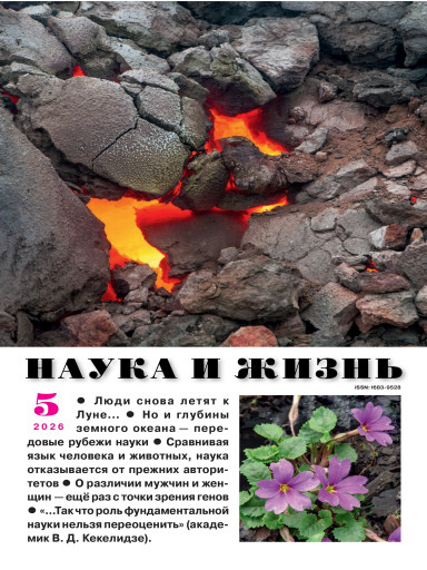 Наука и жизнь