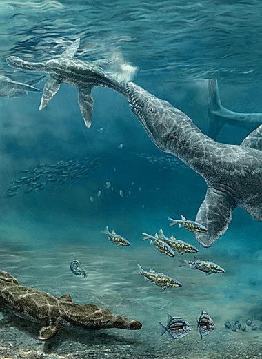 Лауреаты премии Правительства Москвы молодым учёным за 2025 год