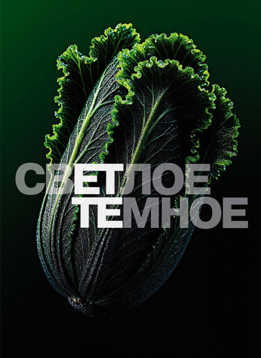 Светлое темное будущее