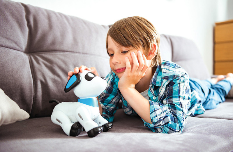 Дядя Федор, пес и кот