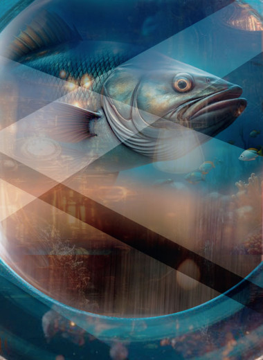 Устаревшие технологии