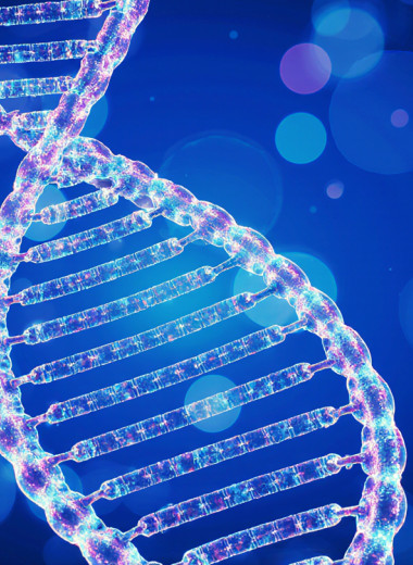 Хромосомный портрет обывателя