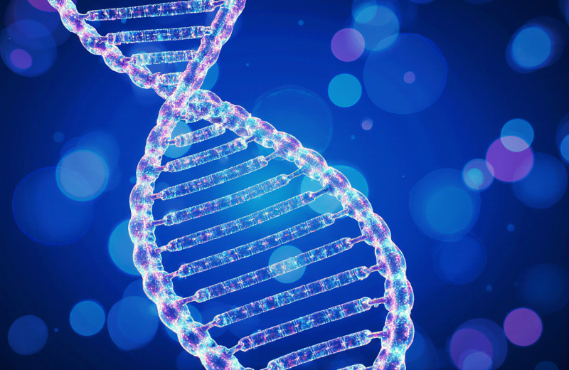 Хромосомный портрет обывателя