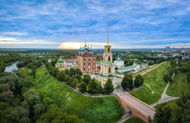 Сосны против берез