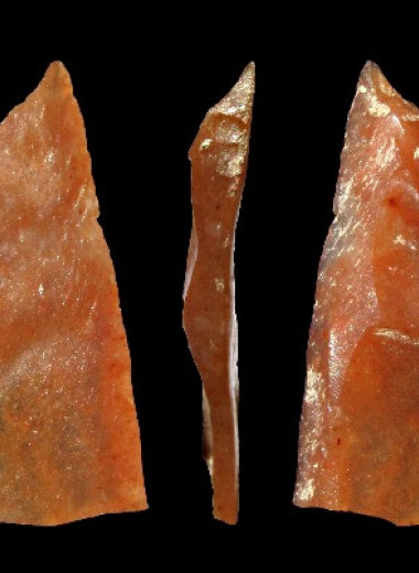 Археологи обнаружили во Франции останки древнейшего кроманьонца