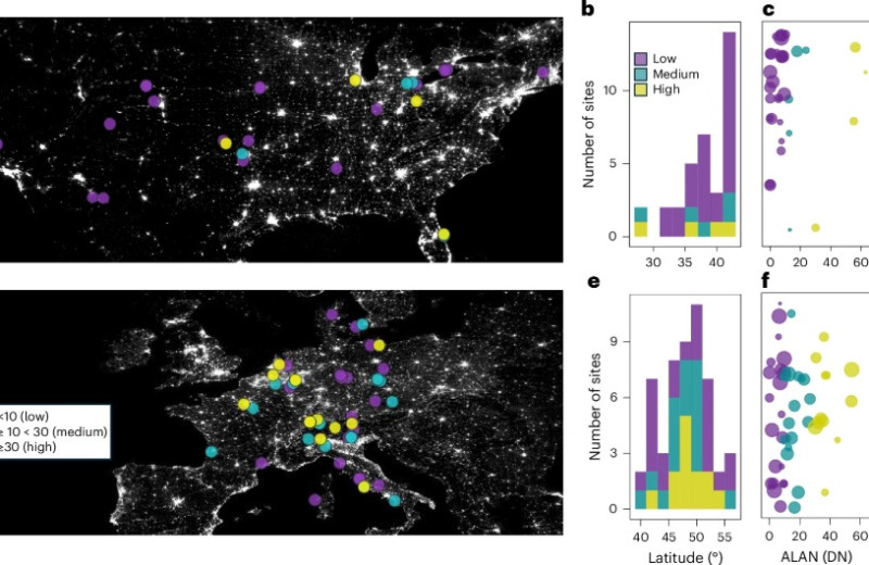 Искусственное ночное освещение усилило дыхание экосистем