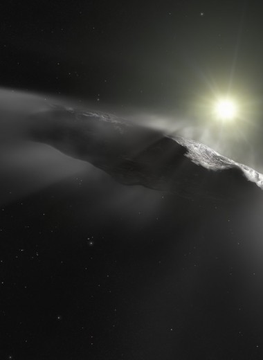Форму и ускорение межзвездного астероида Оумуамуа объяснили особенностями происхождения