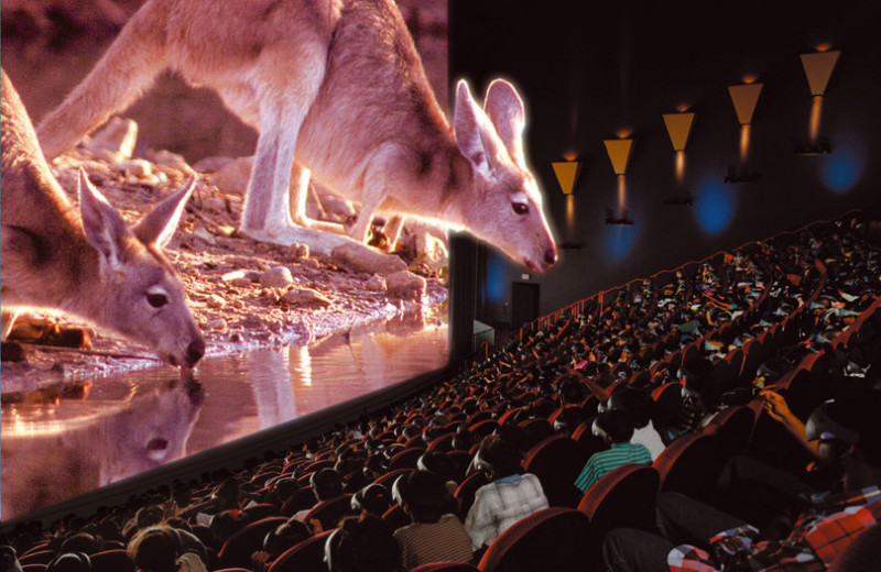 Как устроены кинотеатры IMAX?