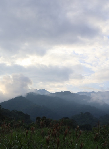 Одна вокруг света: автополомка в джунглях и открытие границ